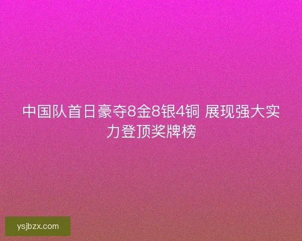 中国队首日豪夺8金8银4铜 展现强大实力登顶奖牌榜