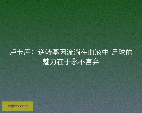 卢卡库：逆转基因流淌在血液中 足球的魅力在于永不言弃