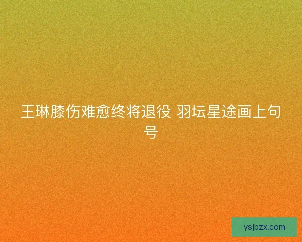 王琳膝伤难愈终将退役 羽坛星途画上句号